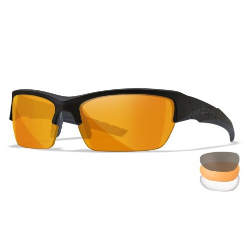 Balistická ochrana zraku