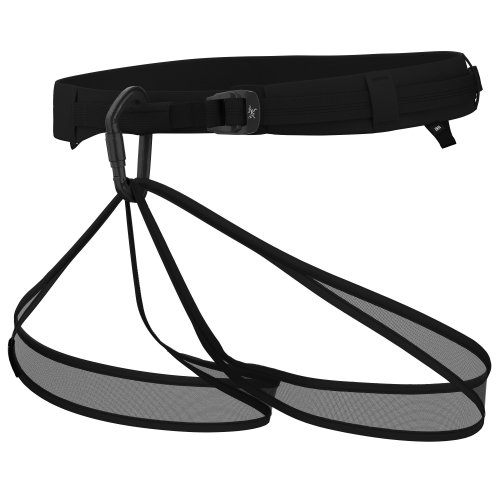 Arcteryx E220 Rigger's Harness