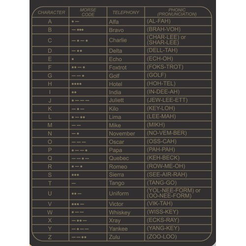 Intelligence Agent Notebook