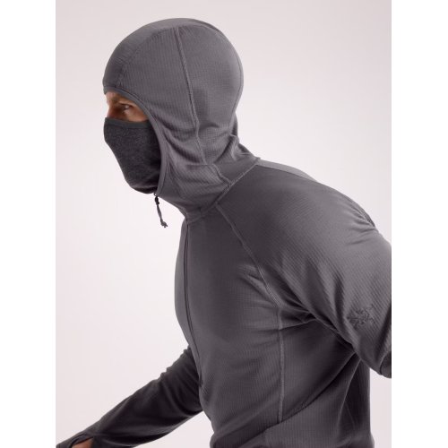 Arcteryx Delta AR Half Zip Hoody