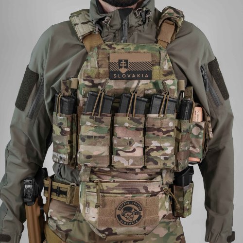 Warrior DCS Plate Carrier